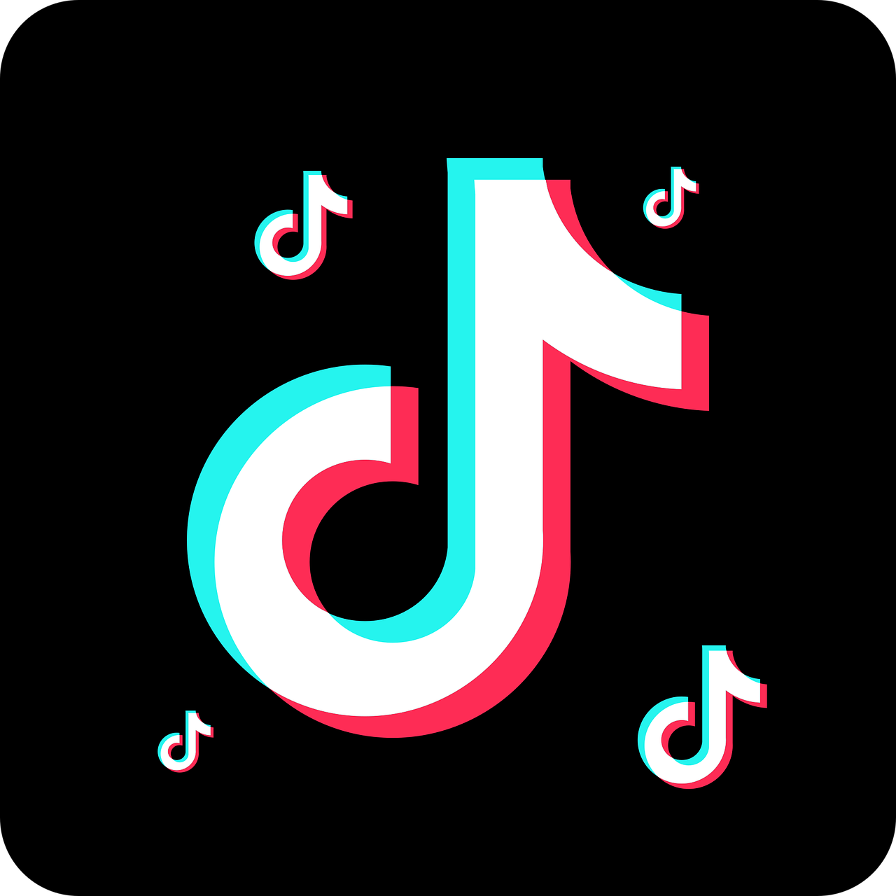 Tiktok Hỗ Trợ Shop